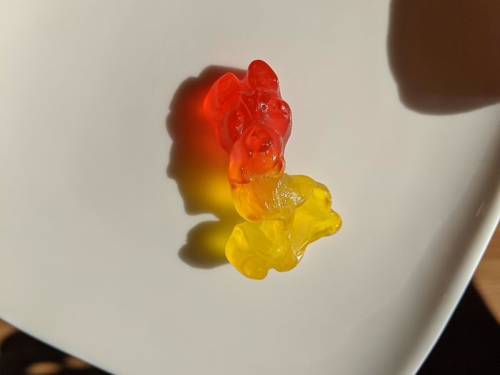 The Shadow Made By Fused Gummy Bears In My Bag Looks Like The Side Profile Of A Person