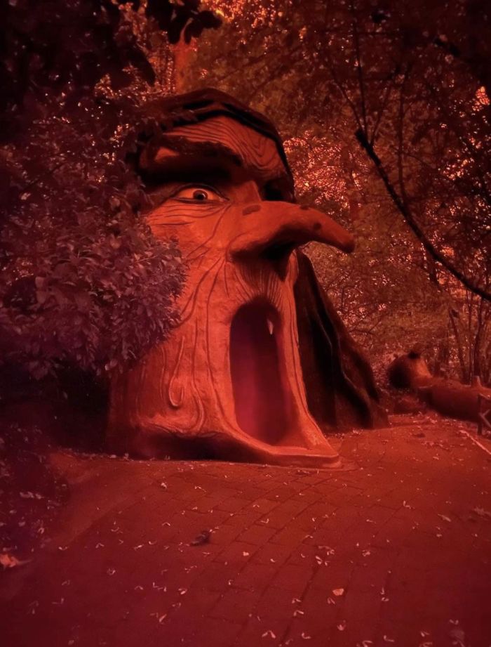 Enchanted Forest In Oregon Looks Like The Gates Of Hell At The Moment