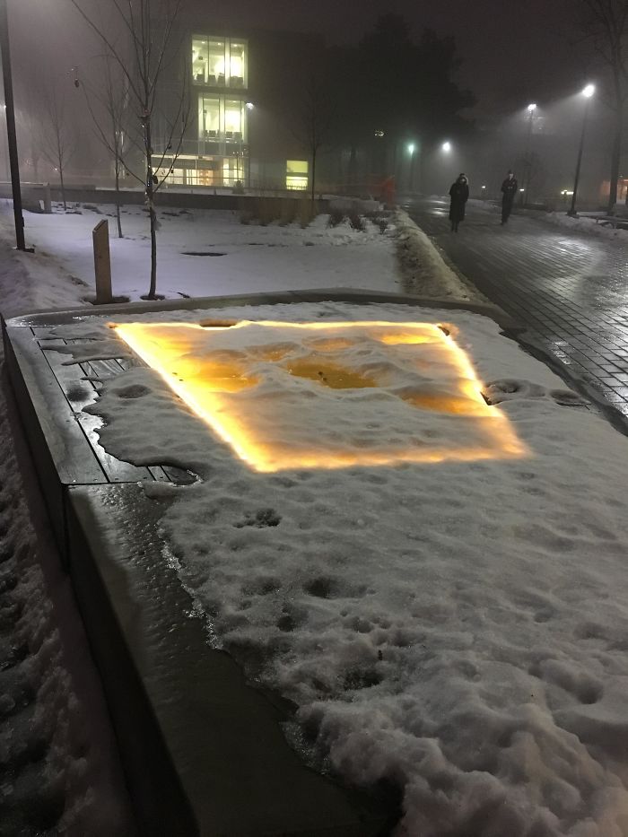 These Lights On The Ground That Look Like The Start To A Video Game Quest