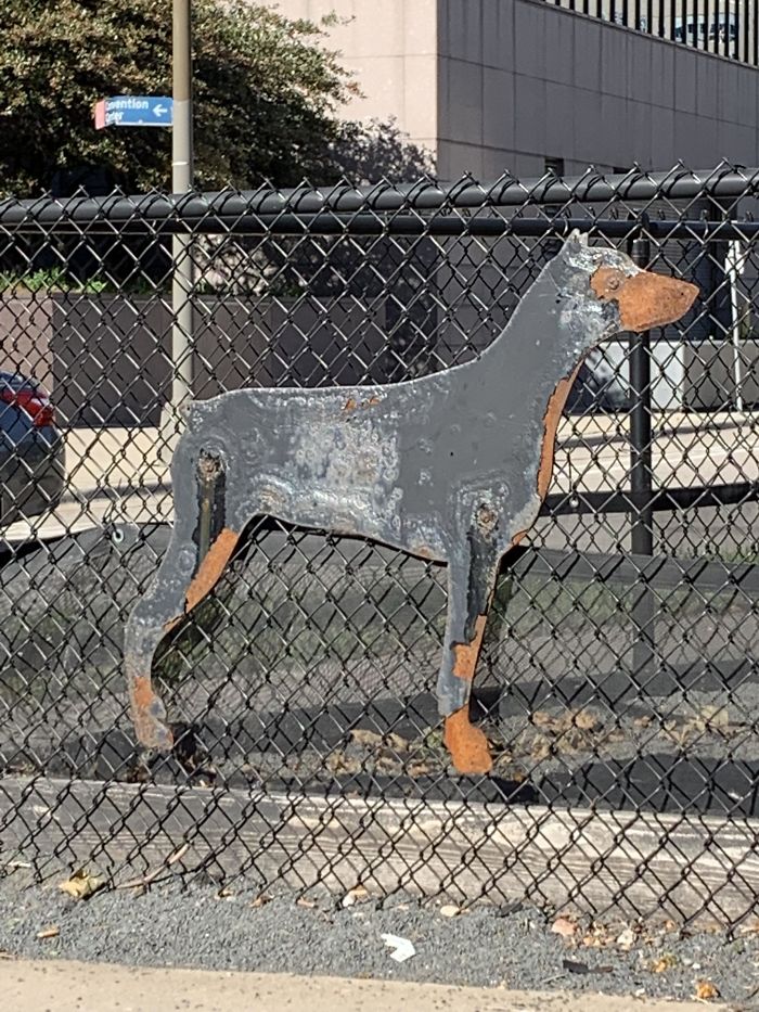This Doberman Metal Sculpture Rusted To Look Like An Actual Doberman