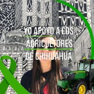 giselirigoyen avatar