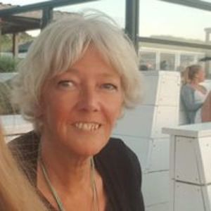 sylviayellowlunarsun avatar