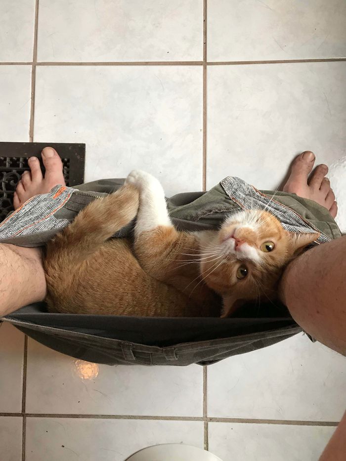I’ll Just Chill Here