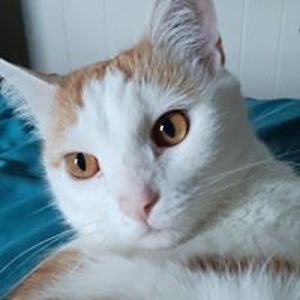 penwell_andrea avatar