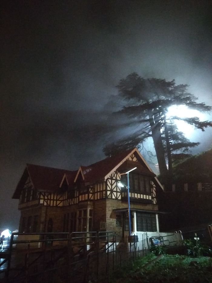 So Last Night's Fog And The Street Light Made My House Look Like A Scene From A Horror Movie