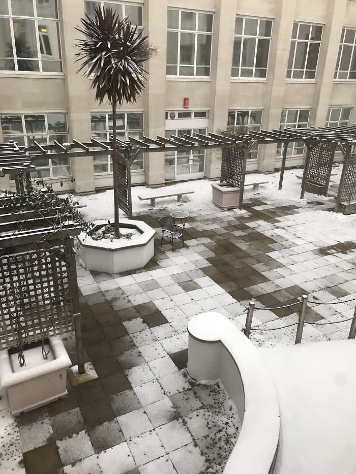 Patio de la universidad, la nieve se ha derretido de tal forma que parece un videojuego