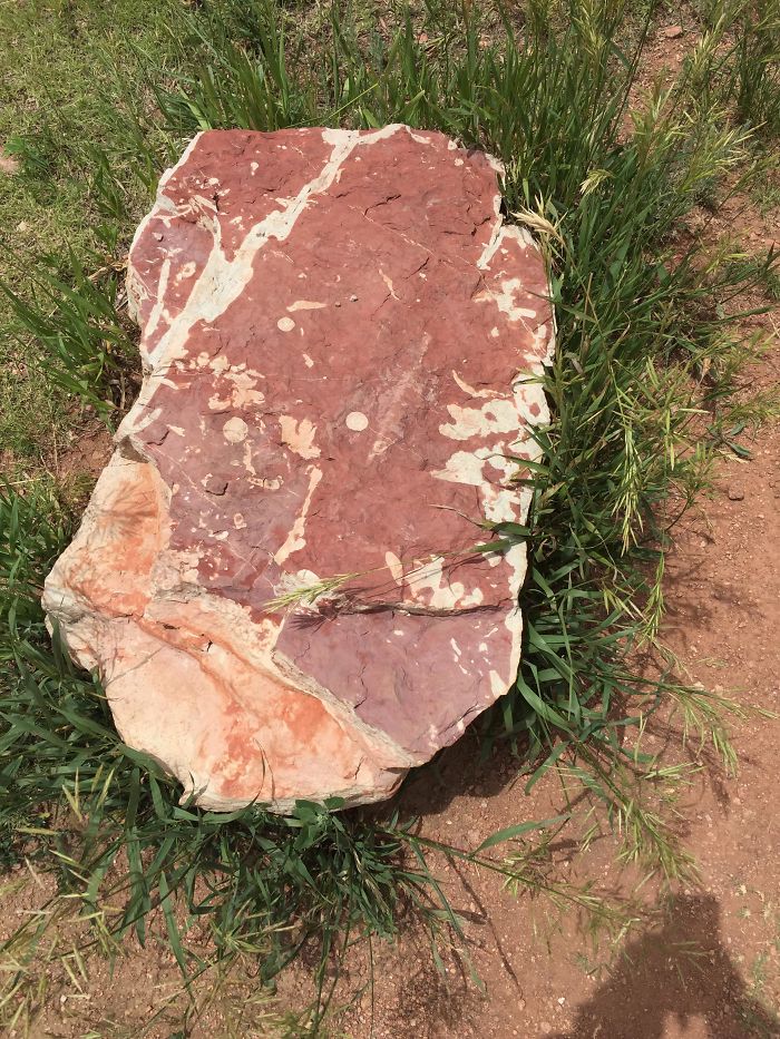 This Rock Looks Like A Steak