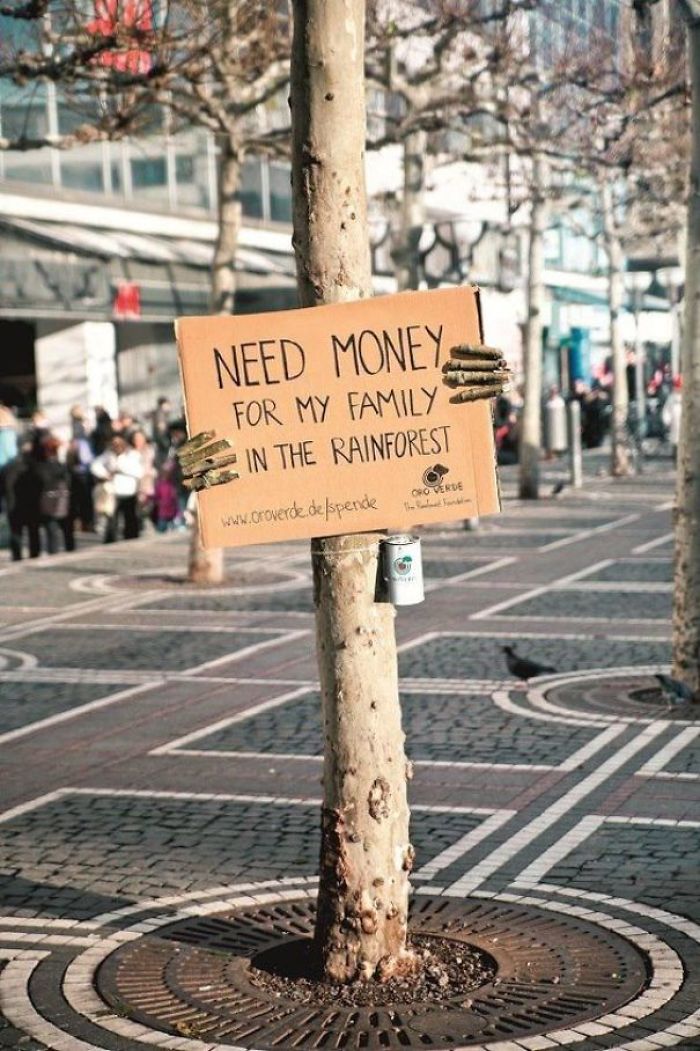 This Tree Needs Money For Its Family