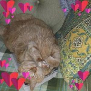 minnie_ezra36 avatar