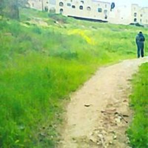 shaulpvjerusalem avatar