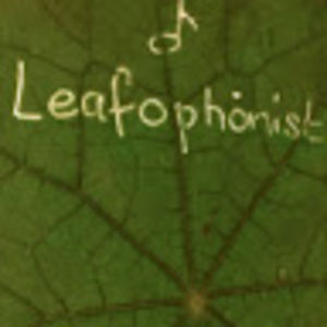 Leafophonist