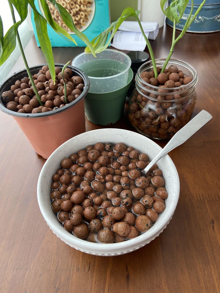 Are We Cuckoo For These Coco Puffs?