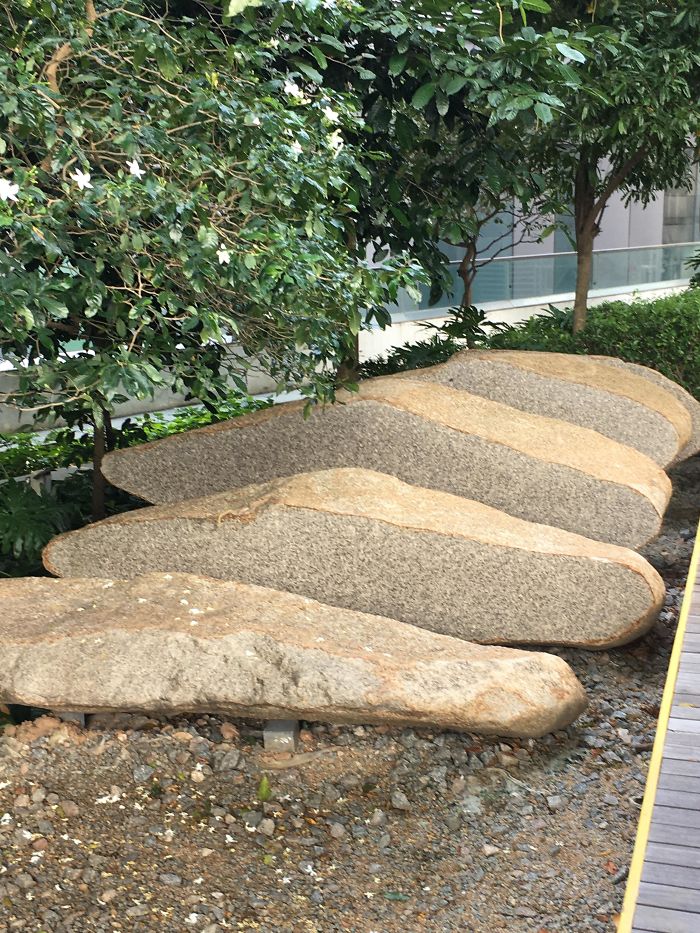 These Rocks Looks Like Slices Of Baguette Breads