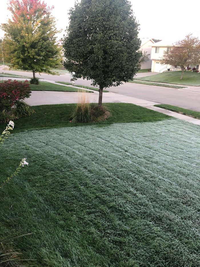 My Grass Is An Inch Lower...and Got Frost. My Neighbors Did Not