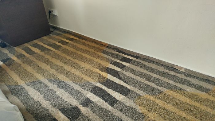 This Carpet Design In My Hotel Room Looks Like A Piss Stain