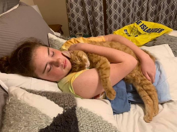 Adoptamos un gato de 11 años de un refugio, y él y mi hija de 13 años se enamoraron. Foto después de volver de una semana en un campamento