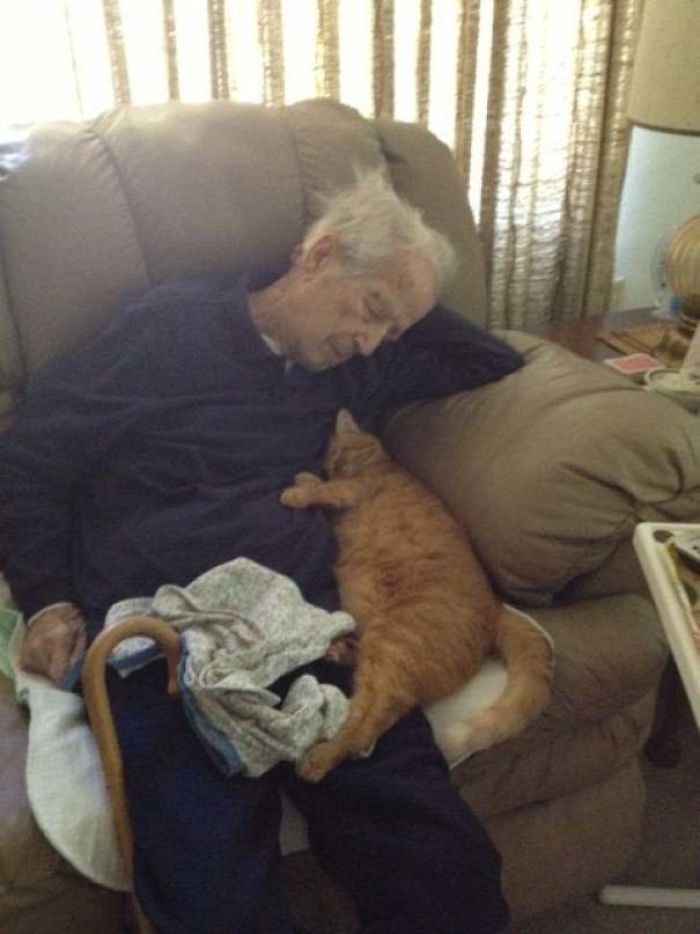 Mi abuelo de 100 años y su gato de 17