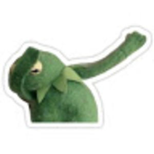 kermittheyeet avatar
