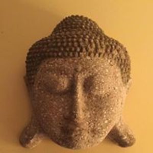 helen_ekelund avatar