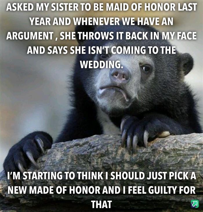 Feeling Guilty Confession Bear
