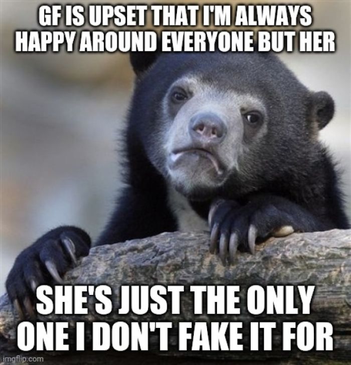 Bearly A Confession