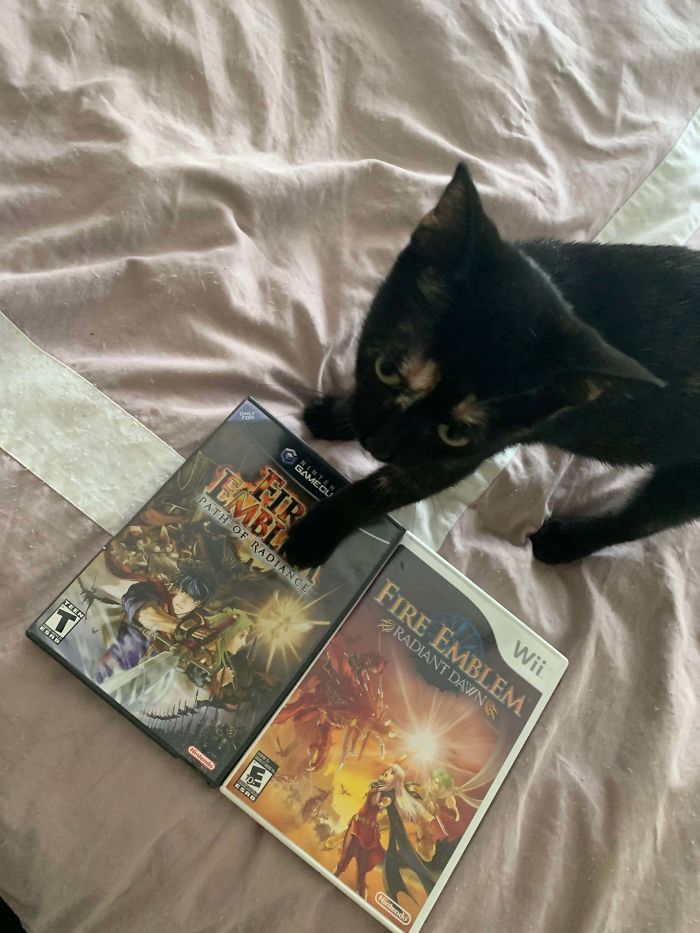 I Finally Bought These Two Fire Emblem Games. Didn’t Get The Best Deal But I Had To Have Them. The Guy I Bought Them From Was Also Giving Away Free Kittens So I Went Ahead And Adopted One From Him!