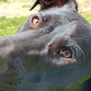 imagesbykerrijean avatar