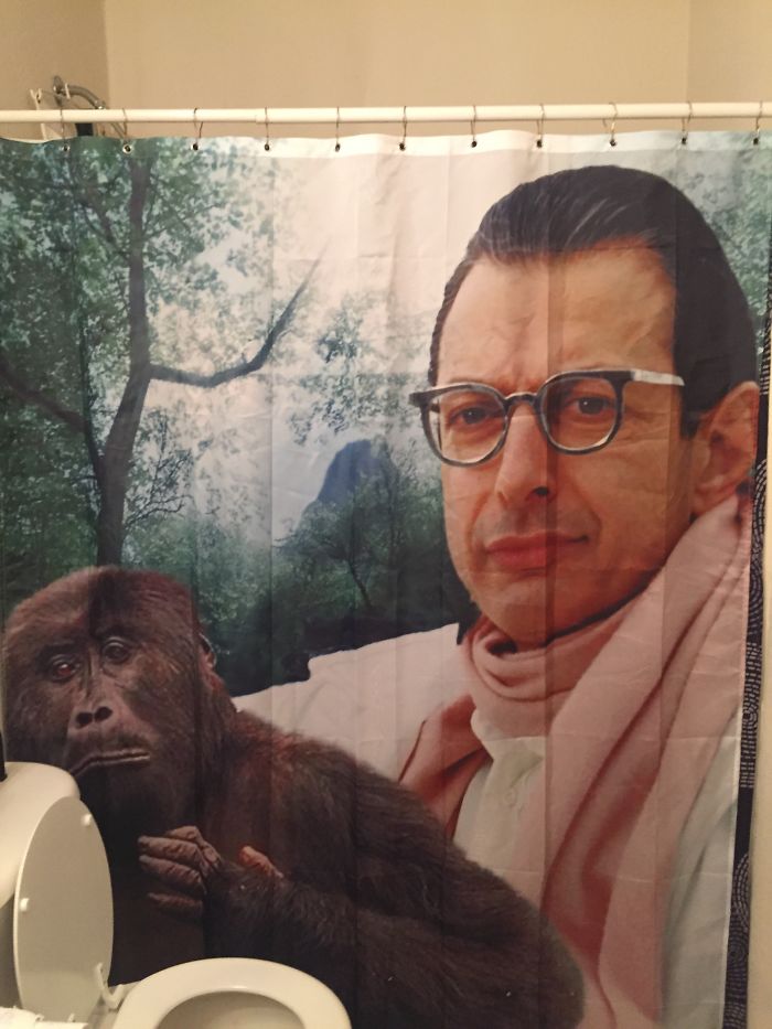 My Dad Put Up A New Shower Curtain And I'm Not Sure How I Feel About It