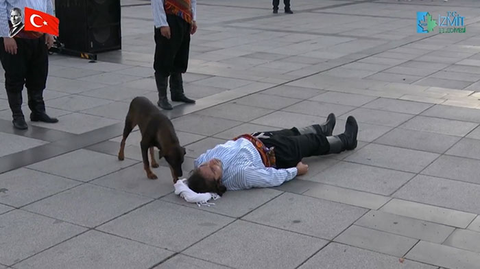 Stray Dog Interrupts Performance To Help Actor Who’s Pretending To Be Injured