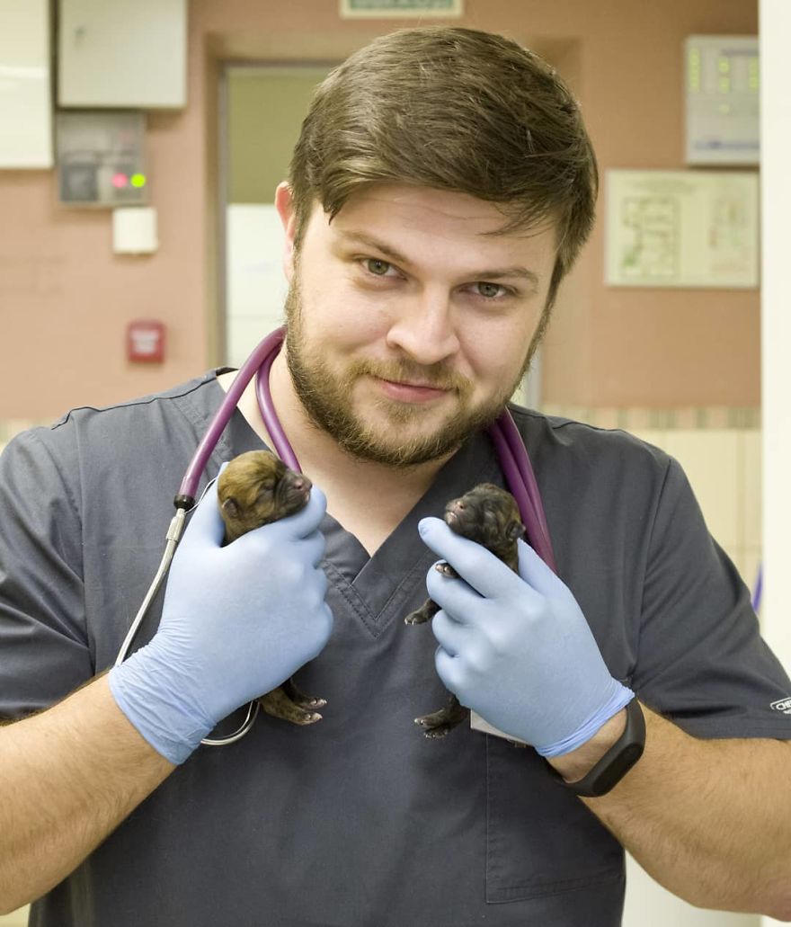 Vet Gives Top 10 Tips So That Everyone's Pet Can Live A Long And Happy Life