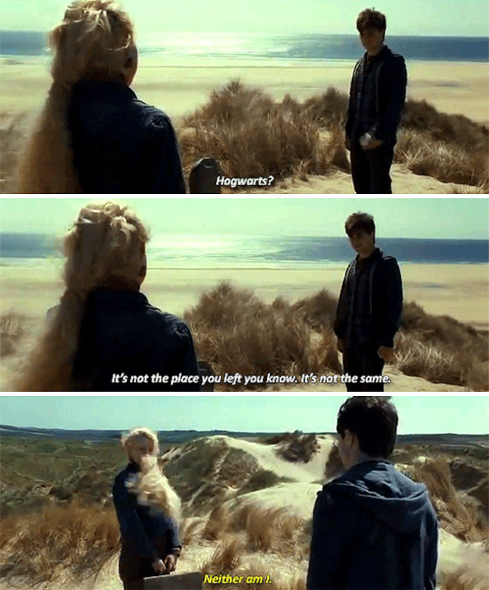 Luna And Harry Share A Moment After Dobby Passes (Deathly Hallows)