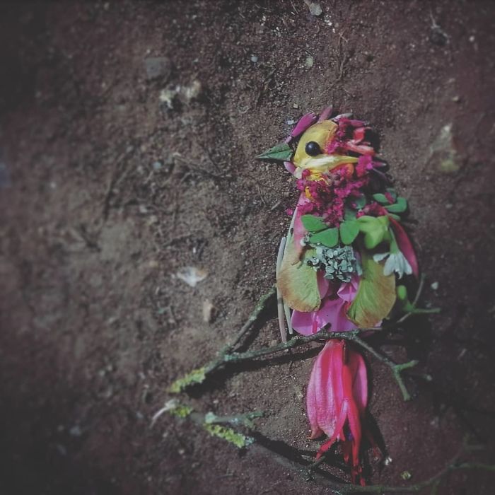 Plant-Flower-Birds-Hannah-Bullen-Ryner