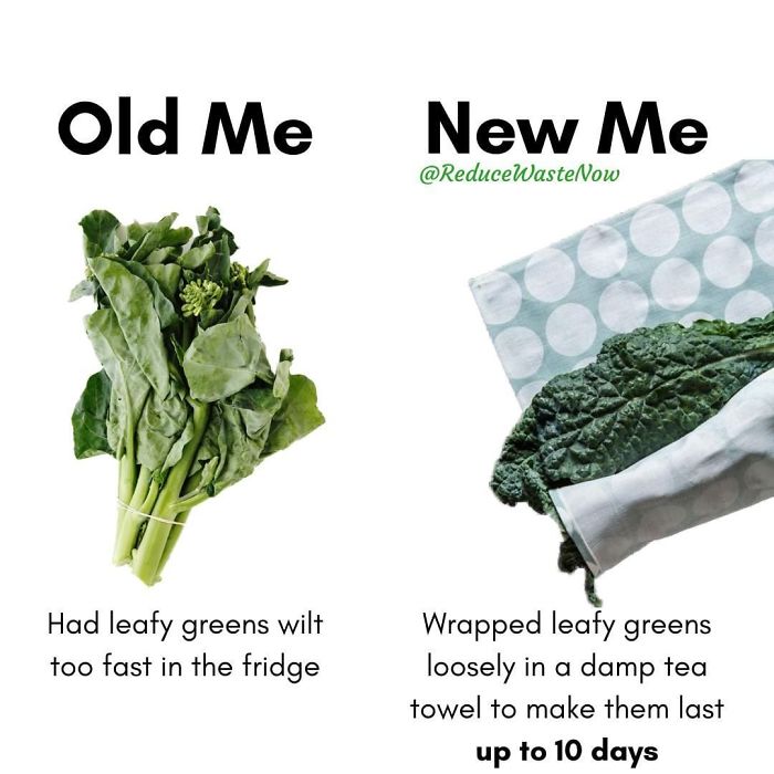 Old-Me-vs.-New-Me-Reduce-Waste-Now