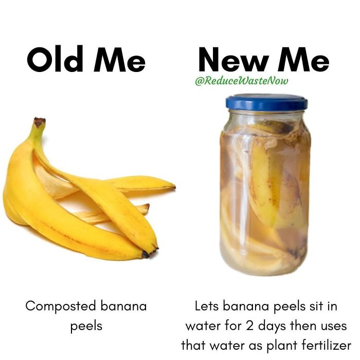 Old-Me-vs.-New-Me-Reduce-Waste-Now