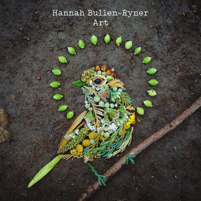 Plant-Flower-Birds-Hannah-Bullen-Ryner