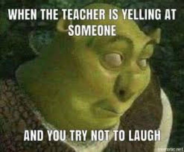 Funny Memes That Made Me Laugh