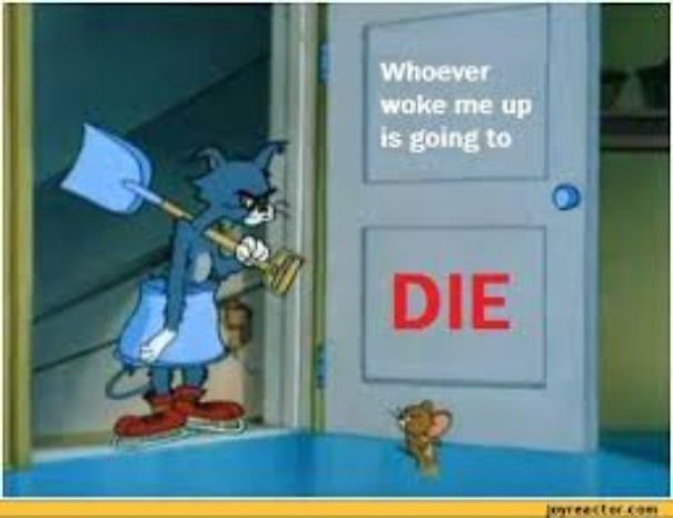Funny Tom And Jerry Memes That I Found On The Internet