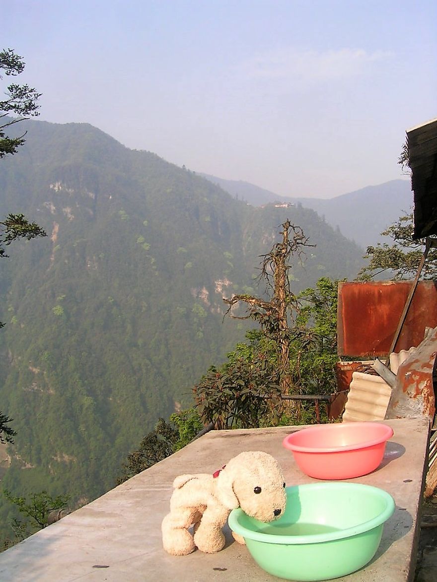 12 Naive Pictures Of My Cute Stuffed Dog Exploring China