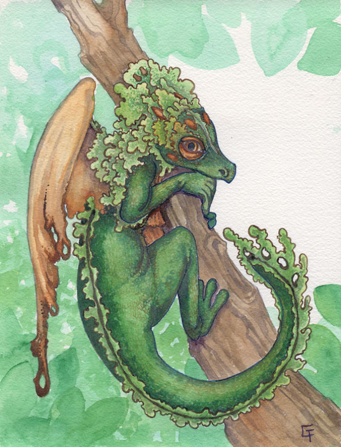Tufted Moss Dragon