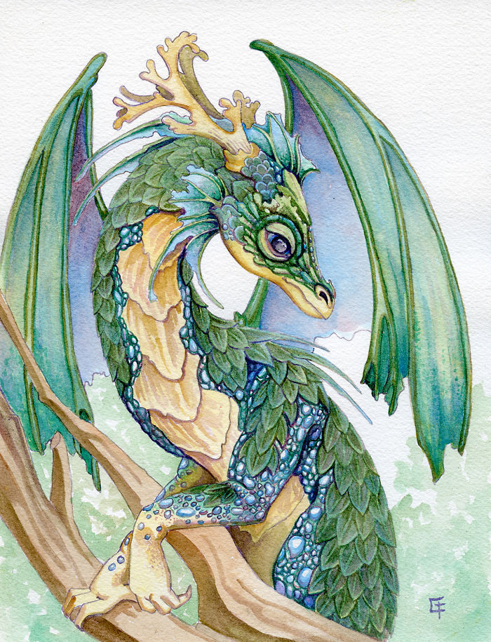 Pearl Sided Forest Dragon