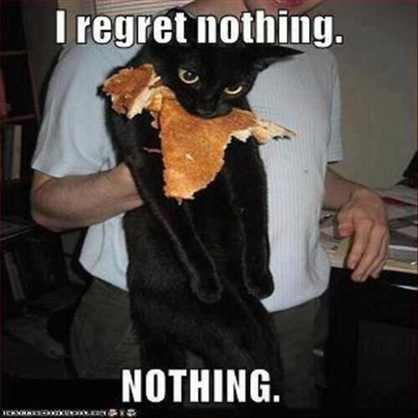 I-regret-nothing-cat-eating-pancakes-5f5146ca9ff1a.jpg