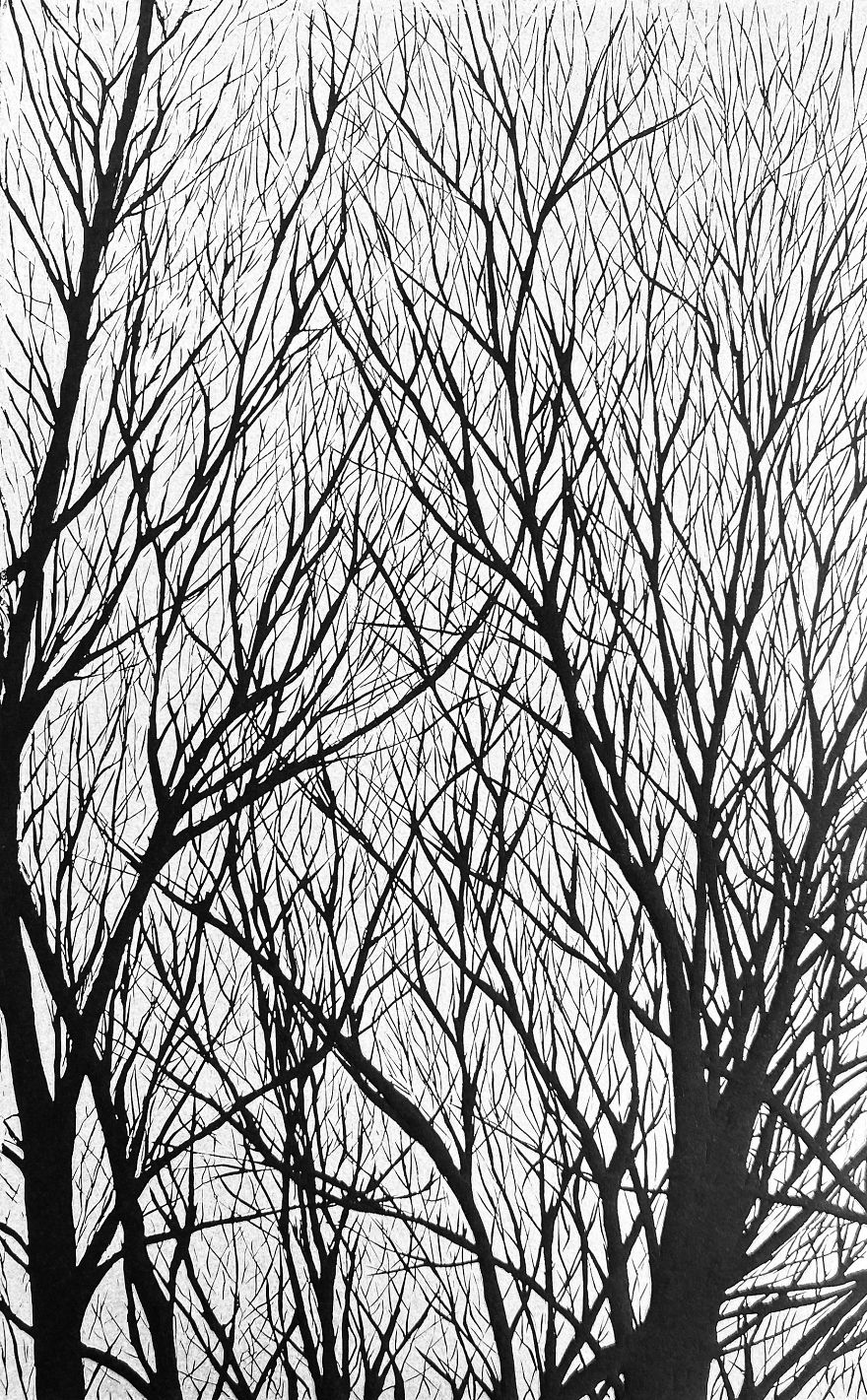 Linocut "Trees" Linocut "Trees"