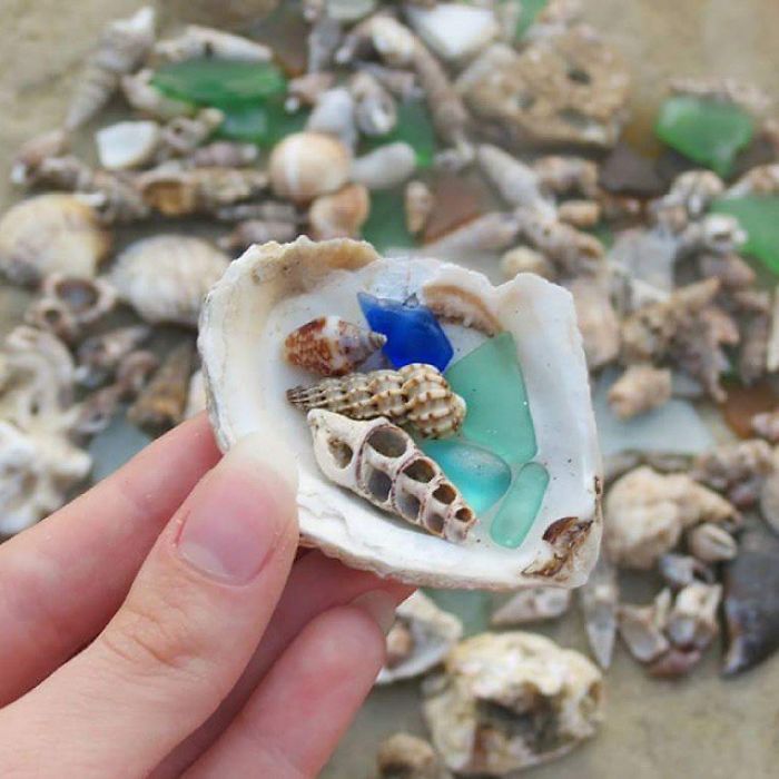 Some Rare Seashells And Very Rare Blue And Turquoise Sea Glass