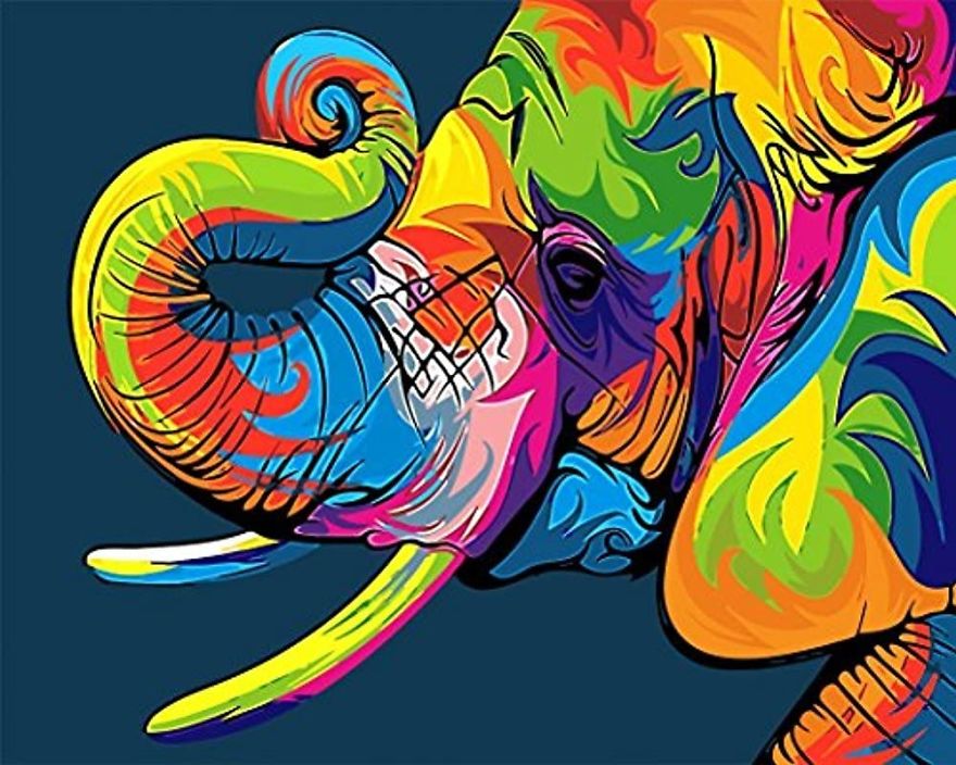 Paint By Numbers Kit