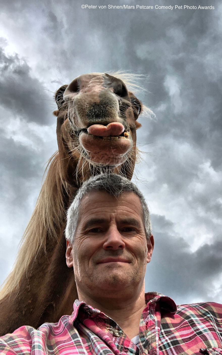 'Funny Horse' By Peter Von Shnen