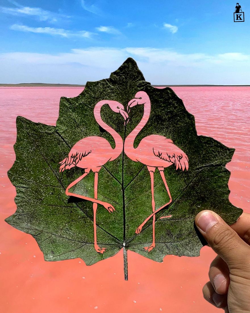 Flamingos In Kobeituz Lake, Kazakhstan