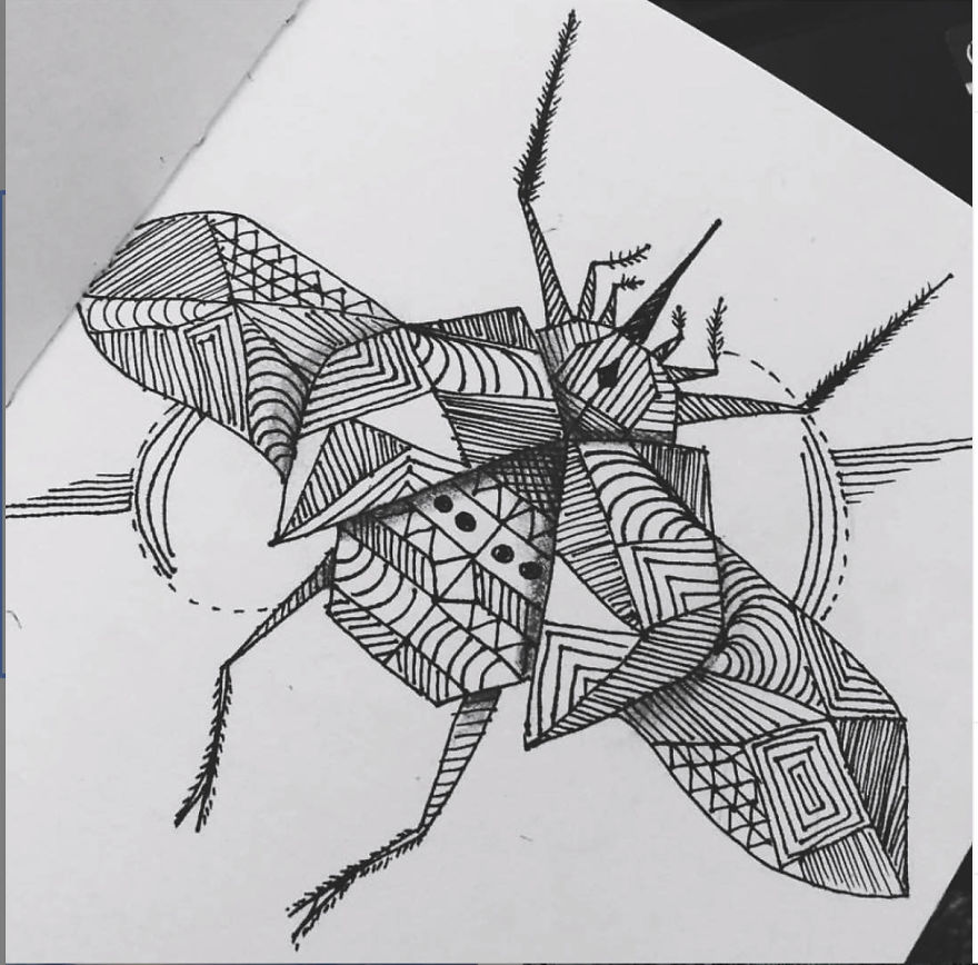 Idoodle...see What I See!