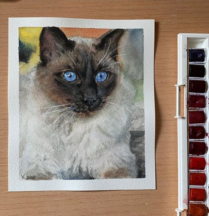 One Of My Favorite Cat Breeds Is Siamese, And Is Also One Of My Favorite Things To Paint
