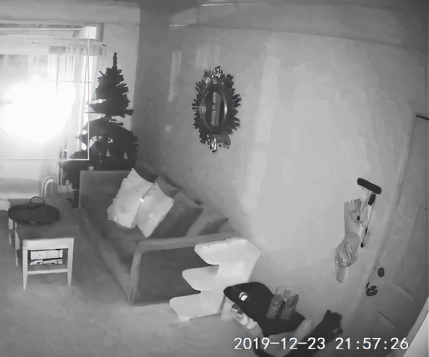 Owner Sets Up A Cam To Check On Her Cat, Finds "Heartbreaking Evidence" Of How Her Cat Missed Her
