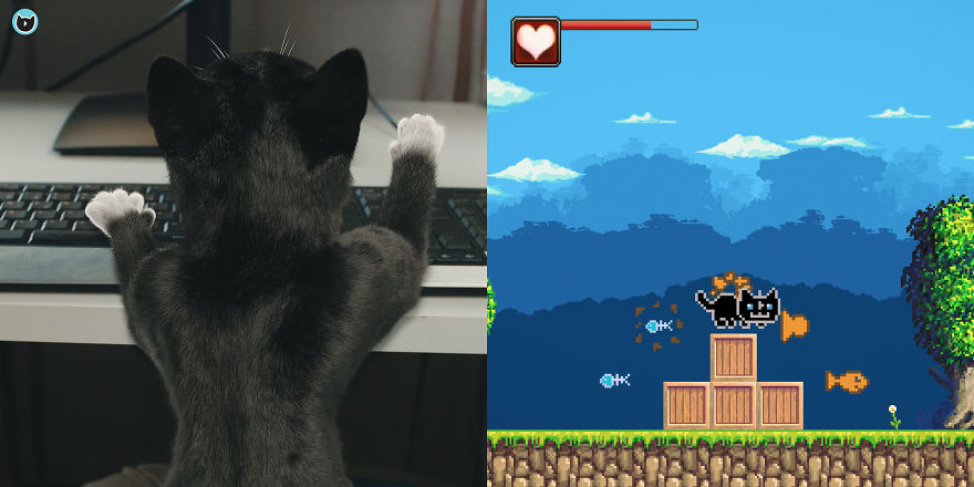 This Cat Loves Playing A Kitty Platformer When His PC Goes Up In Smoke 🙀